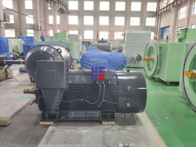 YB2系列高壓隔爆型三相異步電動(dòng)機(jī)(H355~H560)