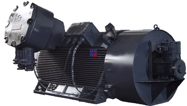 YBBP系列低壓隔爆型變頻調(diào)速三相異步電動機(jī)(H355~H560)