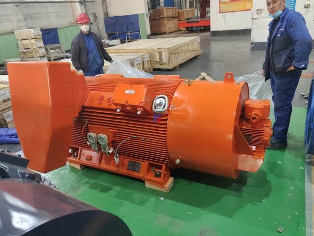 YBBP系列高壓隔爆型變頻調(diào)速三相異步電動(dòng)機(jī)(H355~H560)