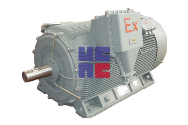 Y3系列高壓隔爆型三相異步電動(dòng)機(jī)(H355~H630)
